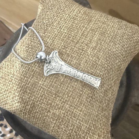 Sterling Silver February Zodiac Necklace