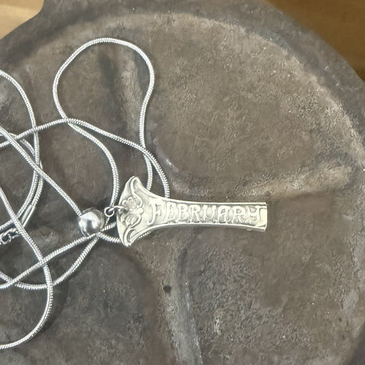 Sterling Silver February Zodiac Necklace
