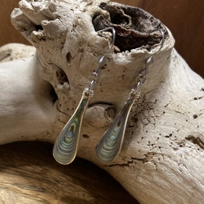 Paua Shell Spoon Tip Earrings