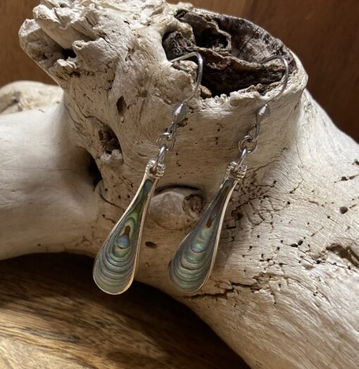 Paua Shell Spoon Tip Earrings